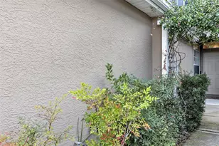 10127 Tranquility Way, Tampa, FL 33625 - Photo 4