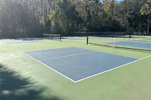 10761 Garden Lily Dr, Orlando, FL 32832 - Photo 14