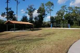 505 Lady Irelyn Ct, Deland, FL 32724 - Photo 22