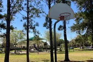 11939 Citruswood Dr, Orlando, FL 32832 - Photo 24