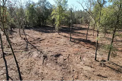 Ne 116th Street, Archer, FL 32618 - Photo 4