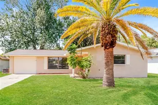 4248 Raccoon Loop, New Port Richey, FL 34653 - Photo 1