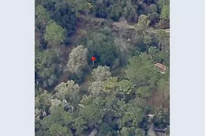 18901 SE 93rd Street, Ocklawaha, FL 32179 - Photo 1