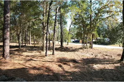 Sw 18th Place, Ocala, FL 34481 - Photo 4