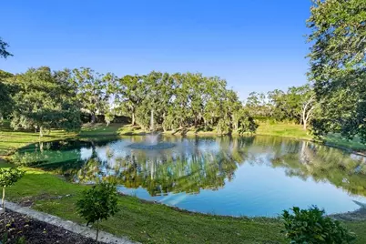 9725 Chestnut Ridge Drive, Windermere, FL 34786 - Photo 6