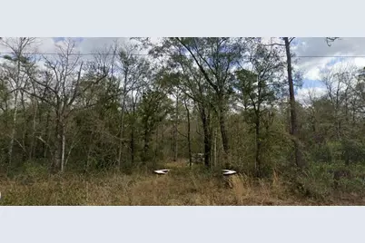 10230 Nikolich Avenue, Hastings, FL 32145 - Photo 1