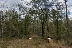 10230 Nikolich AveHastingsFL 32145 - Photo 1