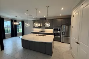 33314 Castaway Loop, Wesley Chapel, FL 33543 - Photo 10