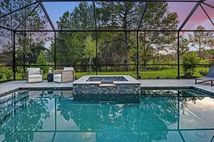 33314 Castaway Loop, Wesley Chapel, FL 33543 - Photo 4