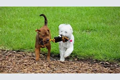 74 Enclave Avenue, Palm Coast, FL 32164 - Photo 16