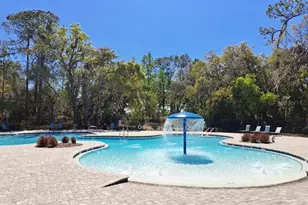 3168 Goose Rd, Davenport, FL 33837 - Photo 8