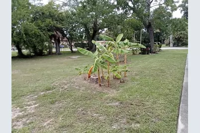 555 Oak Street, Daytona Beach, FL 32114 - Photo 6