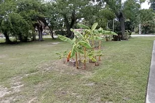 555 Oak St, Daytona Beach, FL 32114 - Photo 6