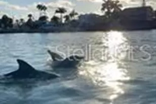 6728 Sea Ranch Dr, Hudson, FL 34667 - Photo 54