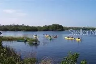 6728 Sea Ranch Dr, Hudson, FL 34667 - Photo 66