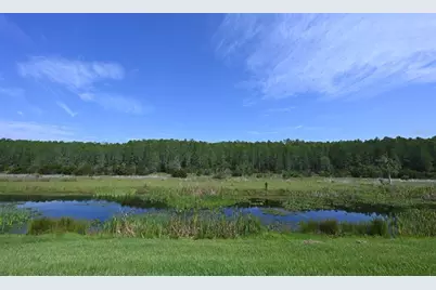 2956 Penelope Loop, Kissimmee, FL 34746 - Photo 90