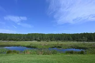 2956 Penelope Loop, Kissimmee, FL 34746 - Photo 90