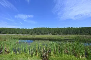 2956 Penelope Loop, Kissimmee, FL 34746 - Photo 88