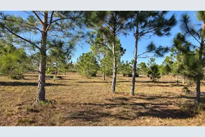 17718 NW 266th Street, Okeechobee, FL 34972 - Photo 4