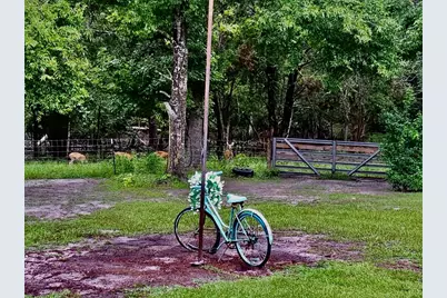 11975 162nd Terrace, Mc Alpin, FL 32062 - Photo 50