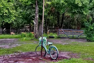 11975 162nd Terrace, Mc Alpin, FL 32062 - Photo 50