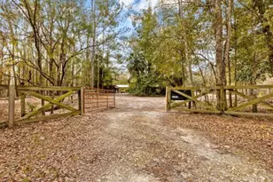 11975 162nd Terrace, Mc Alpin, FL 32062 - Photo 42
