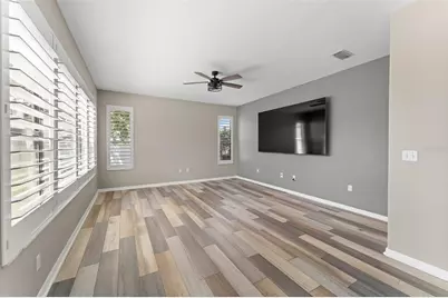 1291 Blackrush Drive, Tarpon Springs, FL 34689 - Photo 24