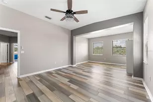 1291 Blackrush Dr, Tarpon Springs, FL 34689 - Photo 50