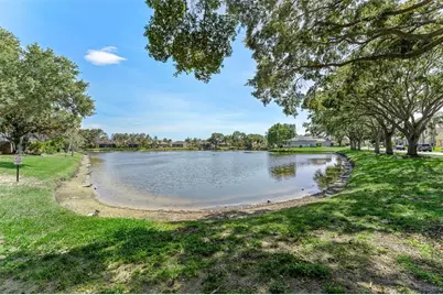 1291 Blackrush Drive, Tarpon Springs, FL 34689 - Photo 62