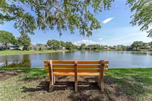 1291 Blackrush Dr, Tarpon Springs, FL 34689 - Photo 60