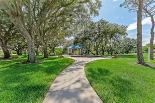 1291 Blackrush Dr, Tarpon Springs, FL 34689 - Photo 62