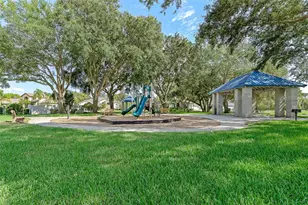 1291 Blackrush Dr, Tarpon Springs, FL 34689 - Photo 66