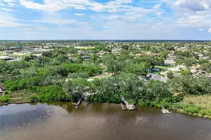 1291 Blackrush Dr, Tarpon Springs, FL 34689 - Photo 66