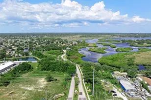 1291 Blackrush Dr, Tarpon Springs, FL 34689 - Photo 68