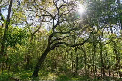 Tbd Lot 10 10th Terrace, Live Oak, FL 32060 - Photo 4