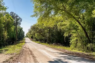 Tbd Lot 10 10th Terrace, Live Oak, FL 32060 - Photo 6