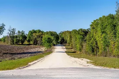 Tbd Lot 10 10th Terrace, Live Oak, FL 32060 - Photo 2