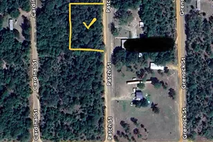 Patch St, Interlachen, FL 32148 - Photo 1