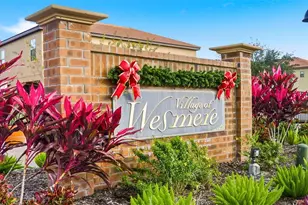 1972 Fishtail Fern Way, Ocoee, FL 34761 - Photo 60