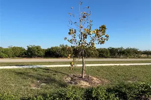 2818 Pennachio Dr, Lake Wales, FL 33853 - Photo 38