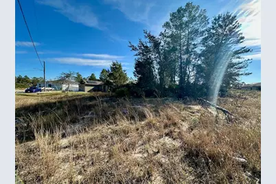 243 Gladiola Court, Kissimmee, FL 34759 - Photo 4