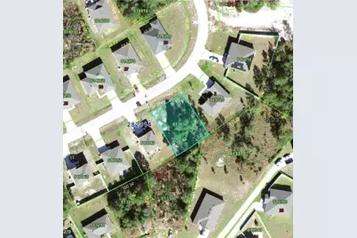 243 Gladiola Court, Kissimmee, FL 34759 - Photo 2