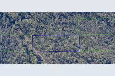 1890 Dill Road, Orlando, FL 32820 - Photo 4