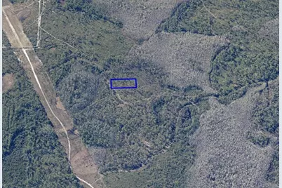 1890 Dill Road, Orlando, FL 32820 - Photo 6