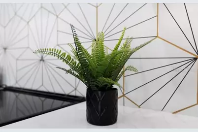 860 N Denning Drive, Winter Park, FL 32789 - Photo 36