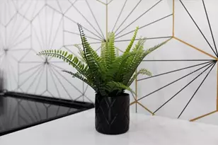 860 N Denning Dr, Winter Park, FL 32789 - Photo 36