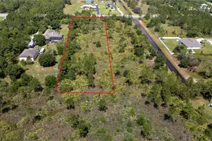 3635 Bancroft Blvd, Orlando, FL 32833 - Photo 6