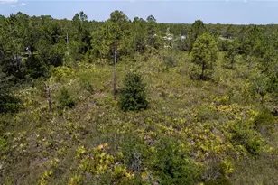 3635 Bancroft Blvd, Orlando, FL 32833 - Photo 14