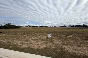 10023 White Egret Dr, Thonotosassa, FL 33592 - Photo 1