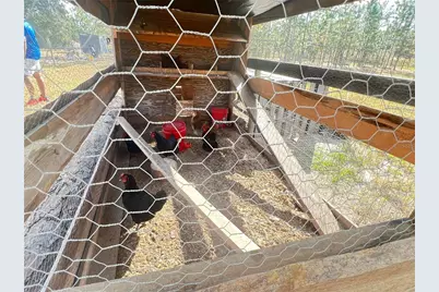 1774 SW Big Bear Ridge, Dunnellon, FL 34431 - Photo 4